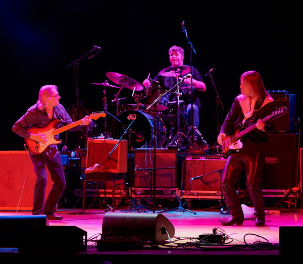 DSC_7136 crop_resize